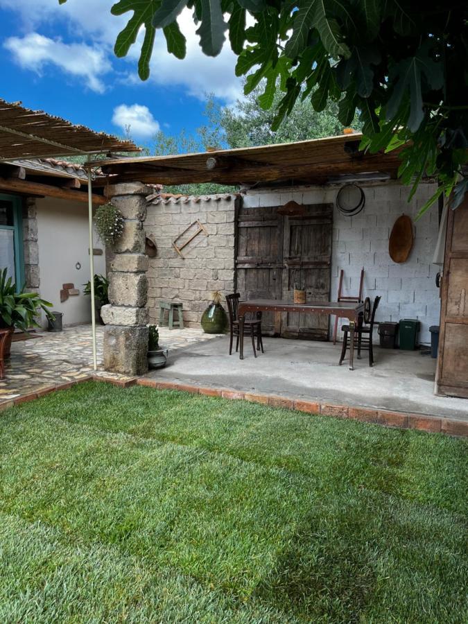 Maison d'hôtes Graziosa Stanza Campidanese Su Terzu à Oristano Extérieur photo