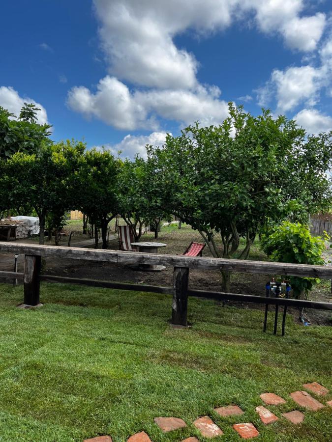 Maison d'hôtes Graziosa Stanza Campidanese Su Terzu à Oristano Extérieur photo