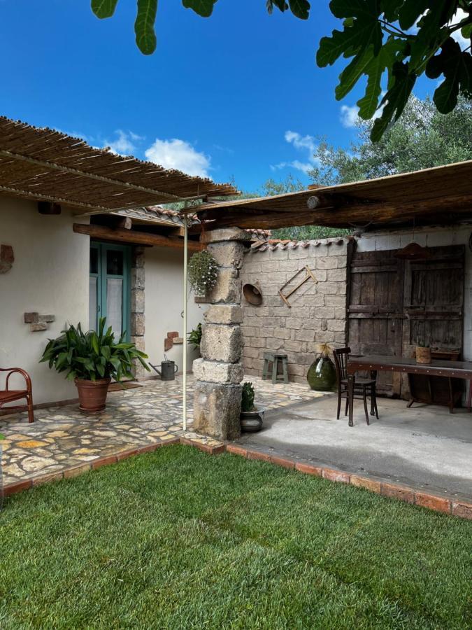 Maison d'hôtes Graziosa Stanza Campidanese Su Terzu à Oristano Extérieur photo